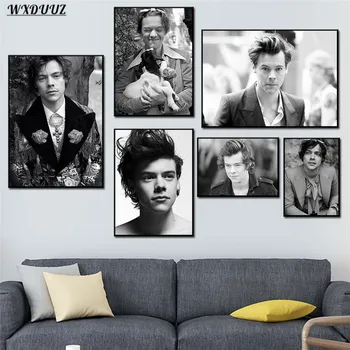 

Nordic Modern Fashion Music Star Harry Styles Picture Art Home Decor Room Living Sofa Wall Decor Quality Canvas Painting Poster