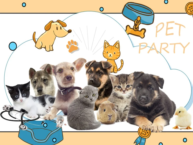 Французская одежда для бульдога чихуахуа, пальто для собак, Одежда для питомцев, зимняя одежда для щенков, кошек, куртка для маленьких и больших собак, жилет для кошек, Ropa Perro