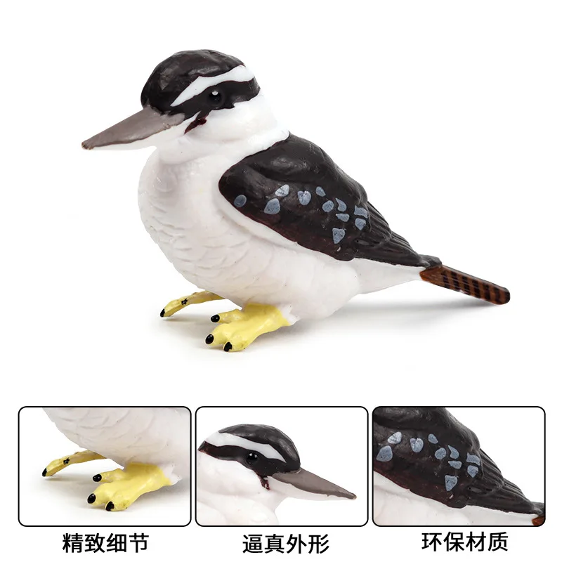 Дети когнитивные Твердые модели диких животных модель птицы Kookaburra птицы животных модель игрушки украшения
