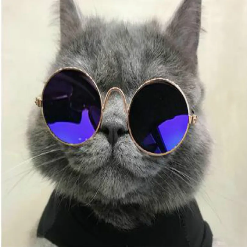 blue L cats accessories glasses cats sunglasses for dogs free shipping dog sunglasses pet cat decoration - Цвет: blue L