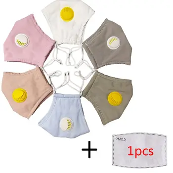 

Plug-in Dust Reusable Washable Anti-dust Cotton Mouth Mask+1 Filter for Adults