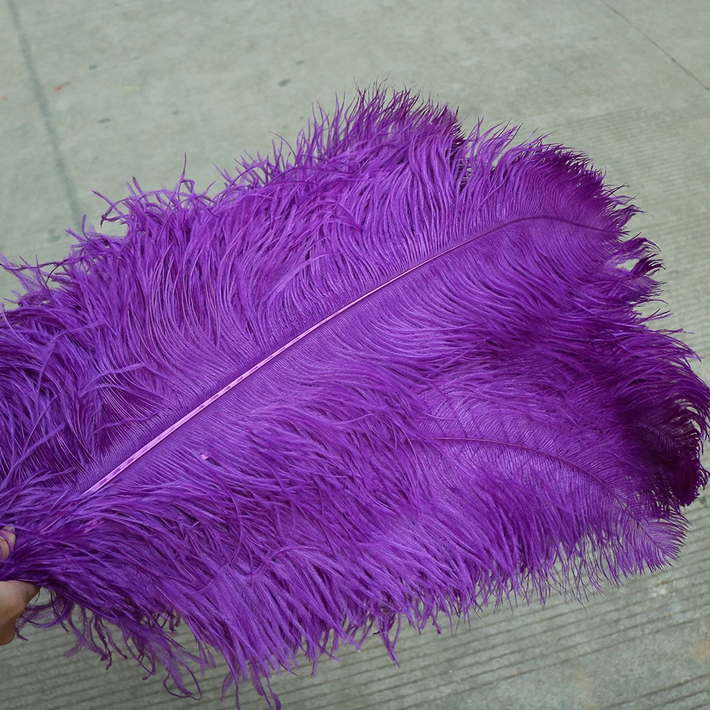TS0165015 65-70cm ostrich feathers 2