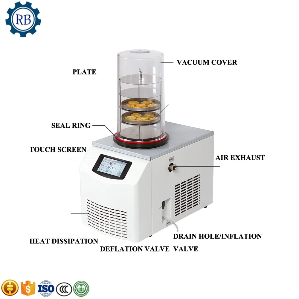 Máquina liofilizadora de frutas, minimáquina profesional para liofilizar frutas frescas, a la