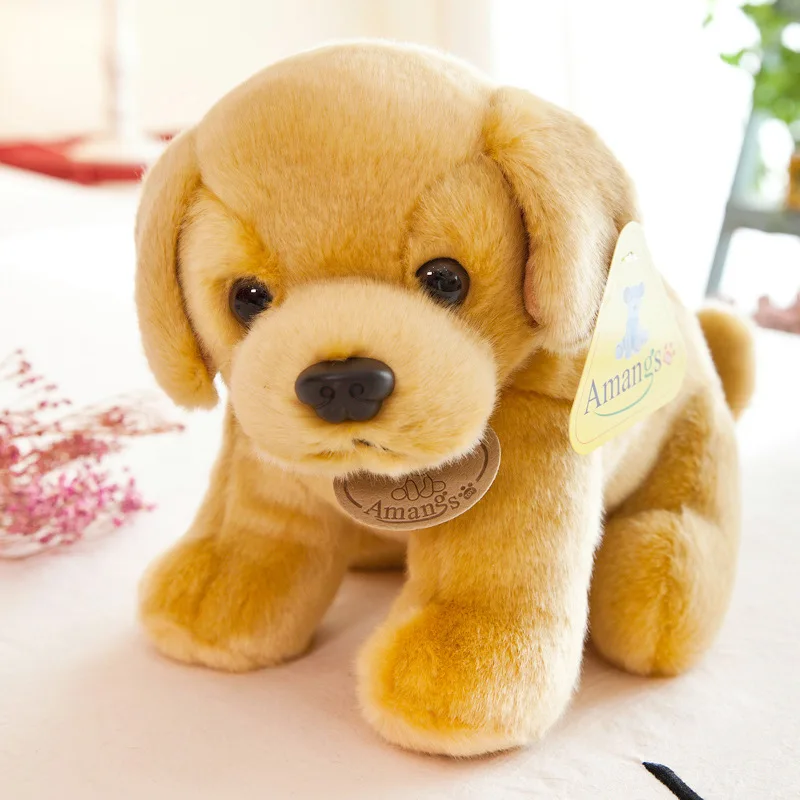 11576425338_1550818352