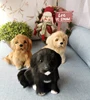 Реалистичная мягкая собака Лабрадор имитация плюшевая игрушка собака щенок подарок на день рождения Рождество реалистичные модели животн... ► Фото 2/6