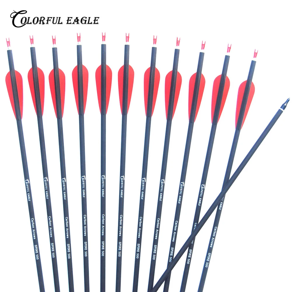 28"30"31" Archery Carbon Arrows with Adjustable Nock and Replaceable