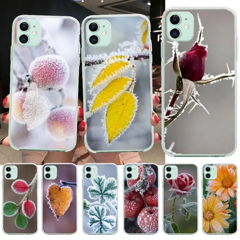 Чехол-накладка для iPhone 11 pro XS MAX 8 7 6 6S Plus X 5S SE 2020 XR с изображением замерзших растений