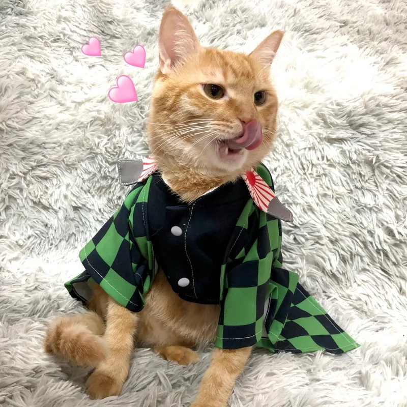 Демон убийца Kimetsu без Yaiba кошки камадо Tanjirou Косплэй накидка костюмы полные комплекты Agatsuma Zenitsu оранжевый костюм-накидка костюмы