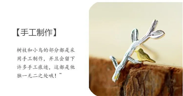 9590773362_1966409281