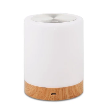 

Practical Boutique Night Light, Touch Lamp for Bedrooms Living Room Portable Table Bedside Lamps with Rechargeable Internal Batt