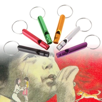 

Pet Training Whistle Dogs Puppy Sound Portable Flute Aluminum Alloy Random Color K1MF