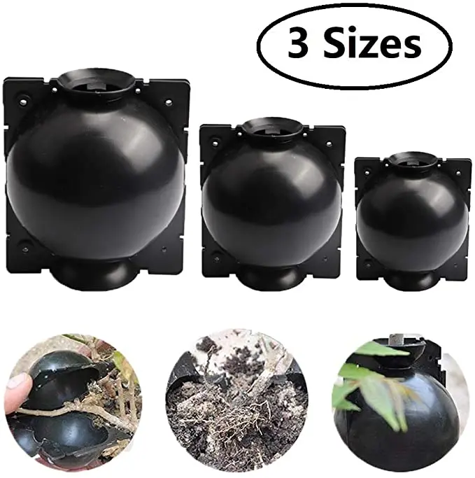 

Blossom Plant Rooting Device Assisted Cutting Rooting Asexual Reproduction Propagation Ball Box Grafting Plant Holder