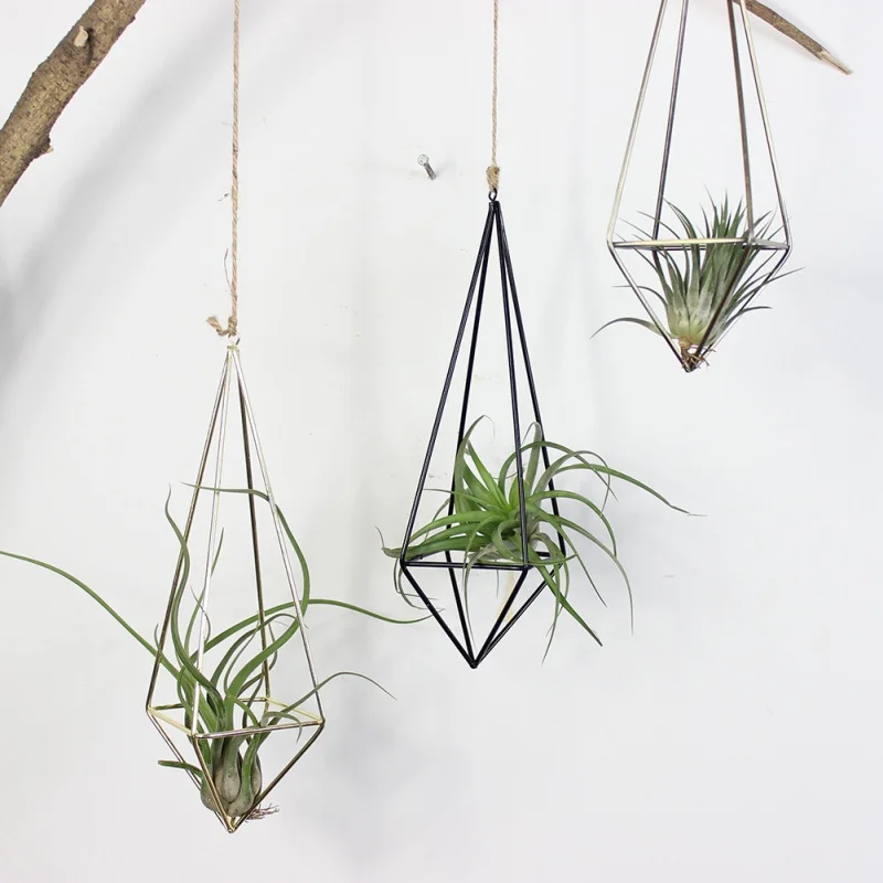 Wall Freestanding Hanging Tillandsia Air Plants Rack Rustic Metal Iron Wrought Geometric Air Plant Holder