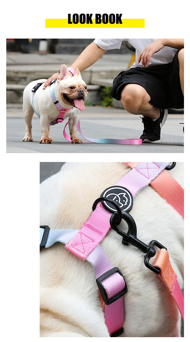 Grey Geometric Designer Dog Harness - 'Albert' - 5/8only