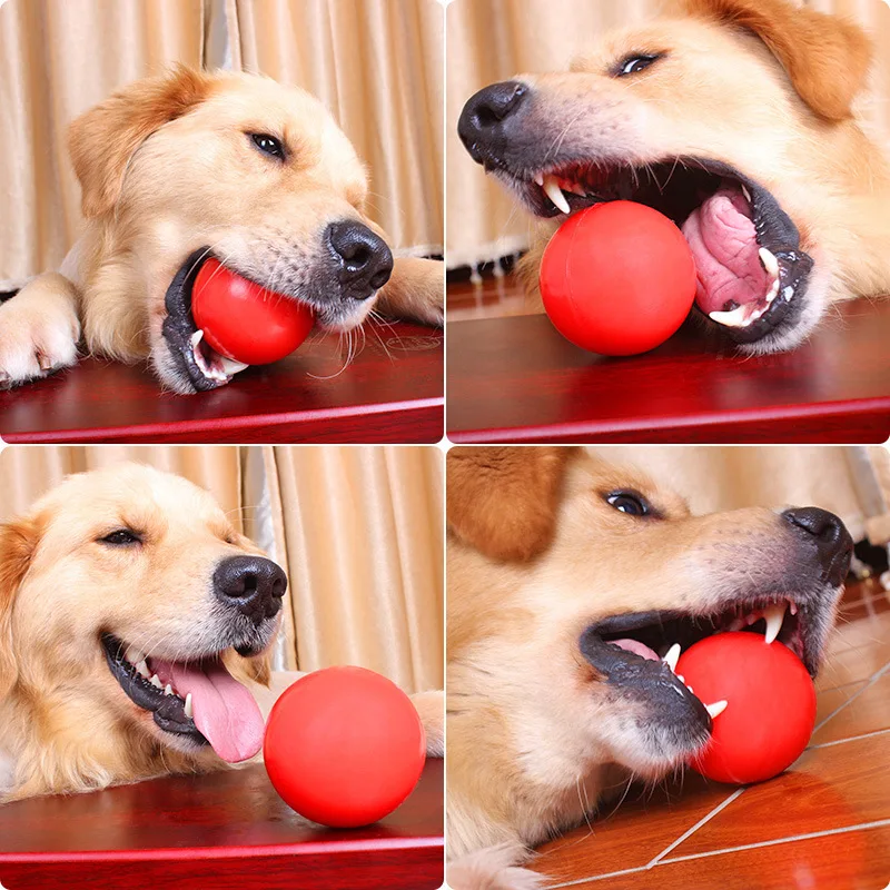 Are Rubber Toys Bad For Dogs
