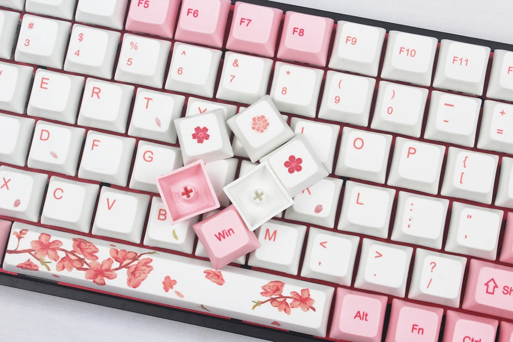 Sakura5