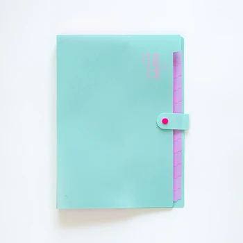

Folder Snap Closure Plastic Accordion Document Organizer File Folder Labels for School and Office File Folders School Supplies