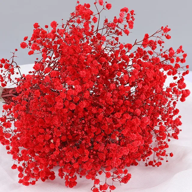 Natural Fresh Dried Preserved Flowers Gypsophila Paniculata,Baby's Breath Flower Bouquets Gift for Wedding Decoration,Valentines red
