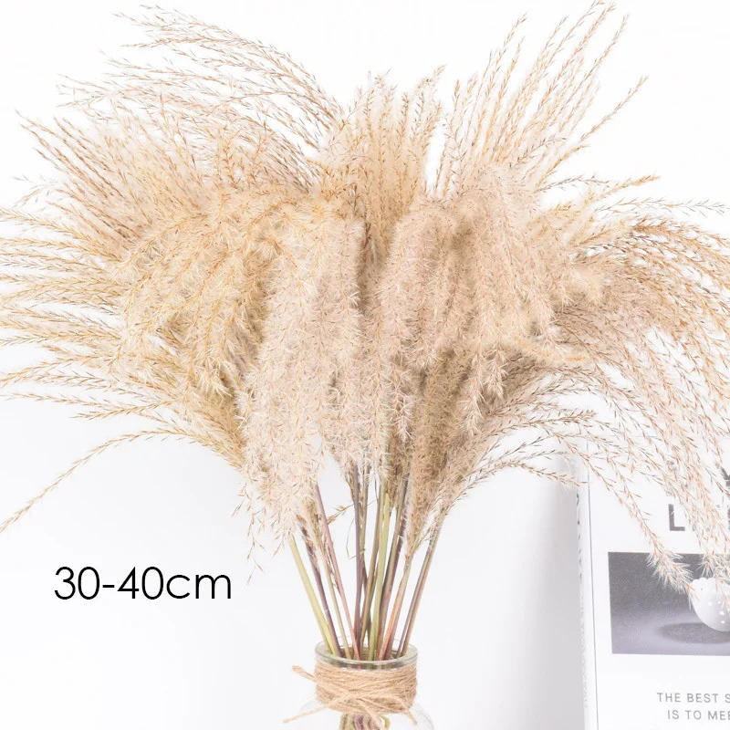 Real-Dried-Small-Pampas-Grass-Wedding-Flower-Bunch-Natural-Plants-Home-Decor-Dried-Flowers-Phragmites-Flower.jpg_.webp