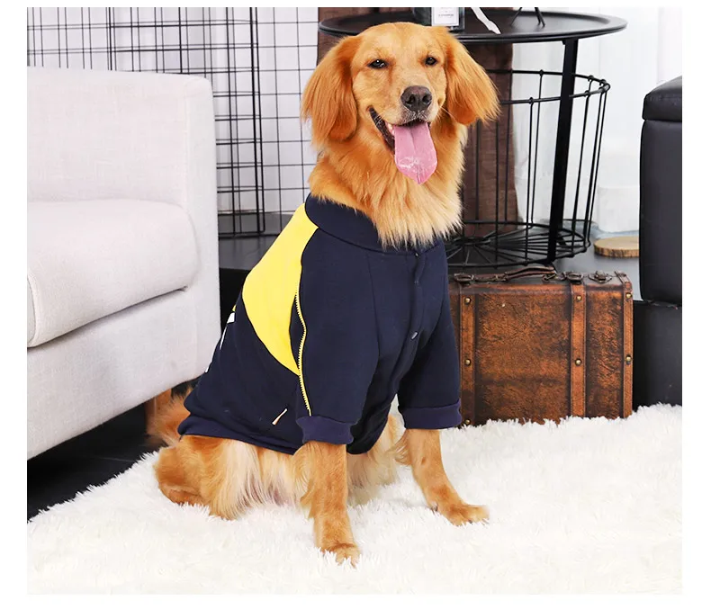 Köpek montu
