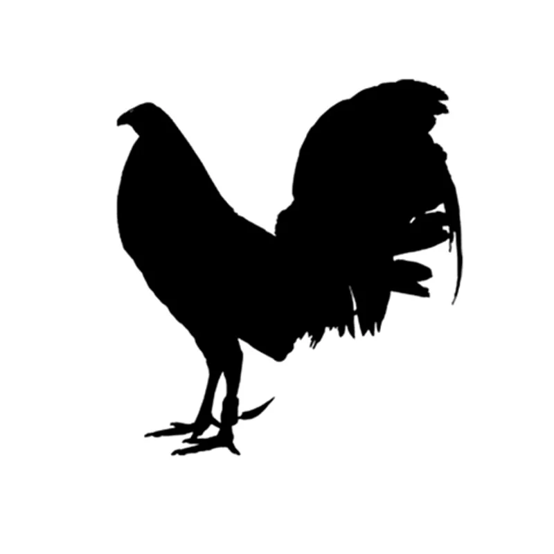 

JuYouHui Exterior Accessories Decal Funny Animal Gamefowl Rooster Vinyl Car Sticker Decor Decals Black/white