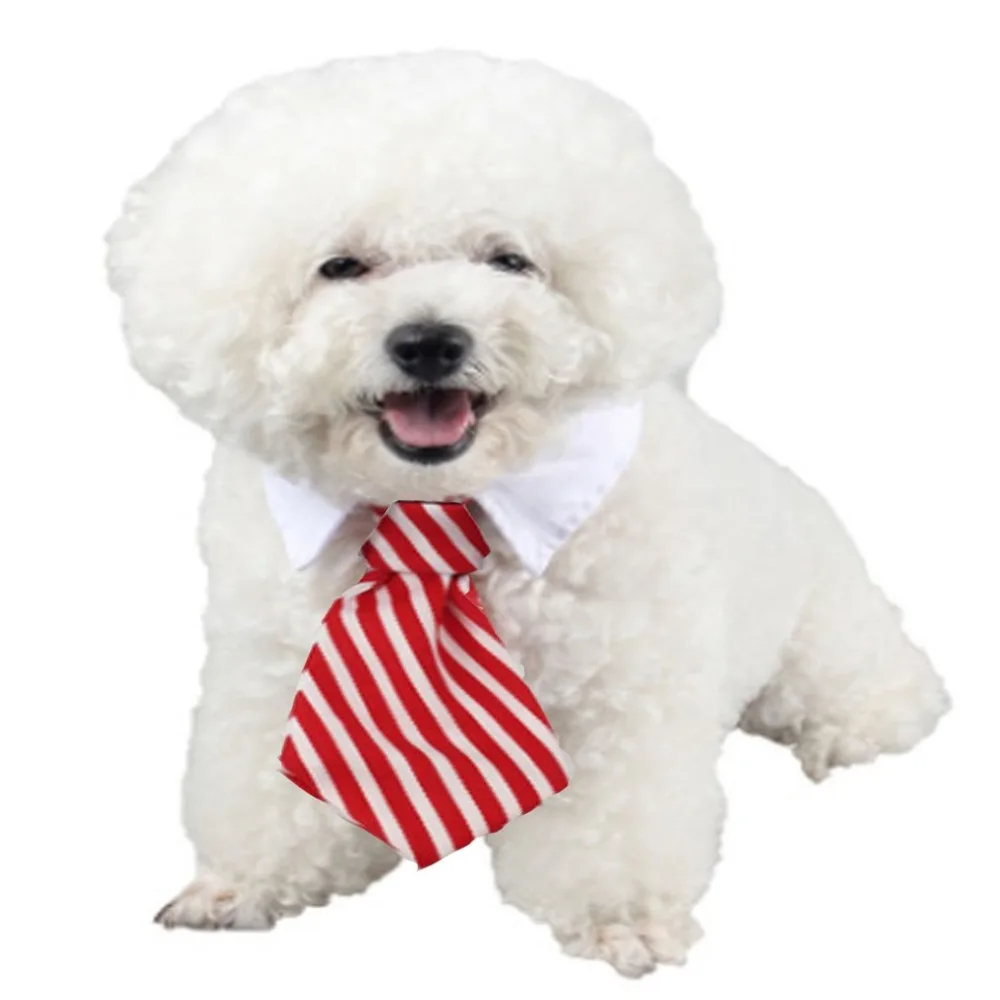 Модный джентльмен собаки кошки галстук-бабочка для домашних животных галстук-платок ошейники