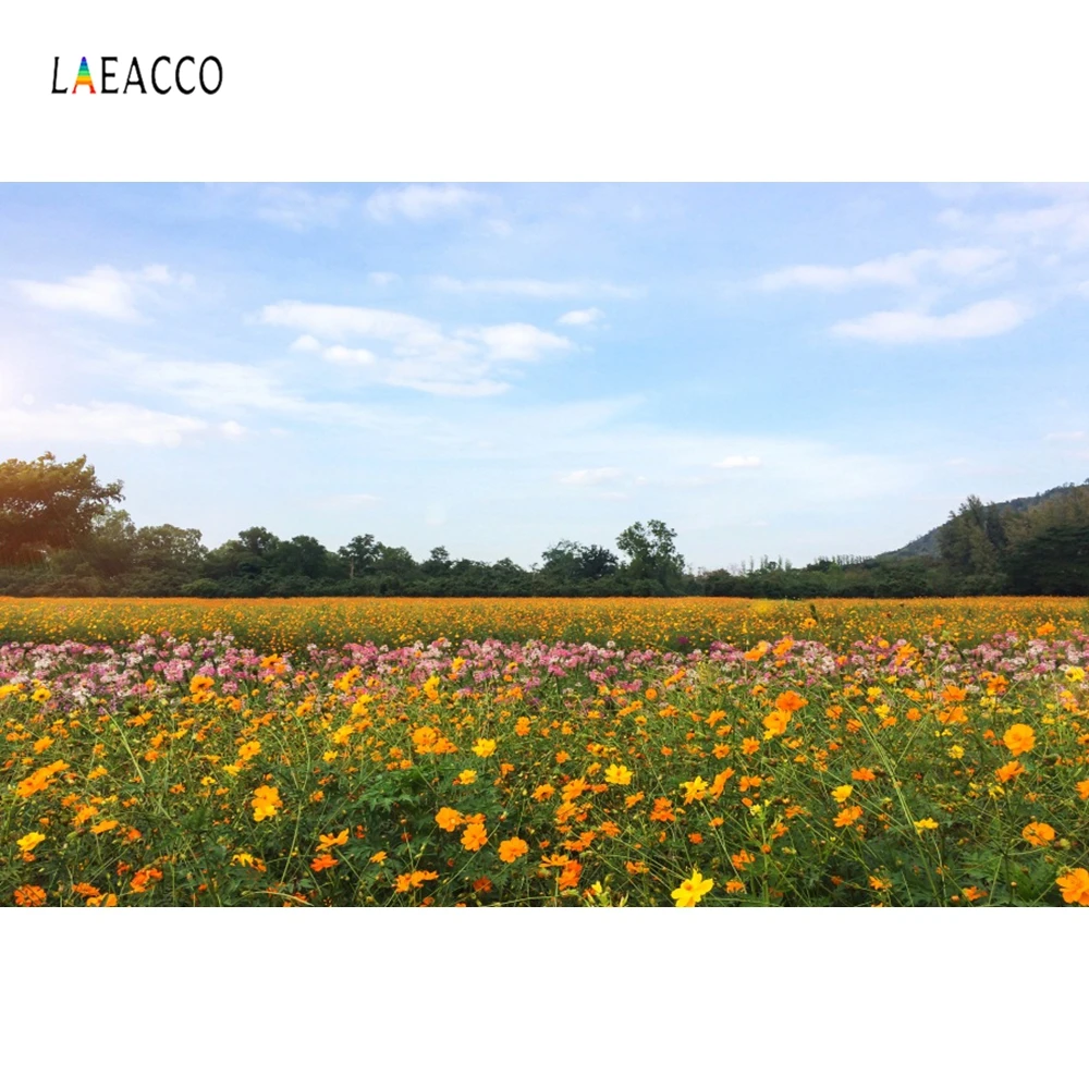 

Laeacco Flowers Field Forest Landscape Photography Backdrops Vinyl Photo Backdrop Custom Backgrounds Props For Photo Studio