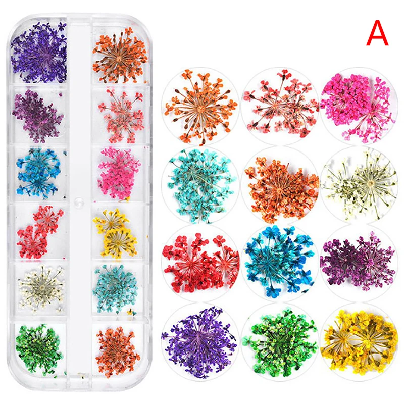 1Box Dried Flowers Leaf UV Resin Decoration 3D Dry Beauty Nail Art Decals Natural Floral Sticker Epoxy Mold DIY Filling Jewelry
