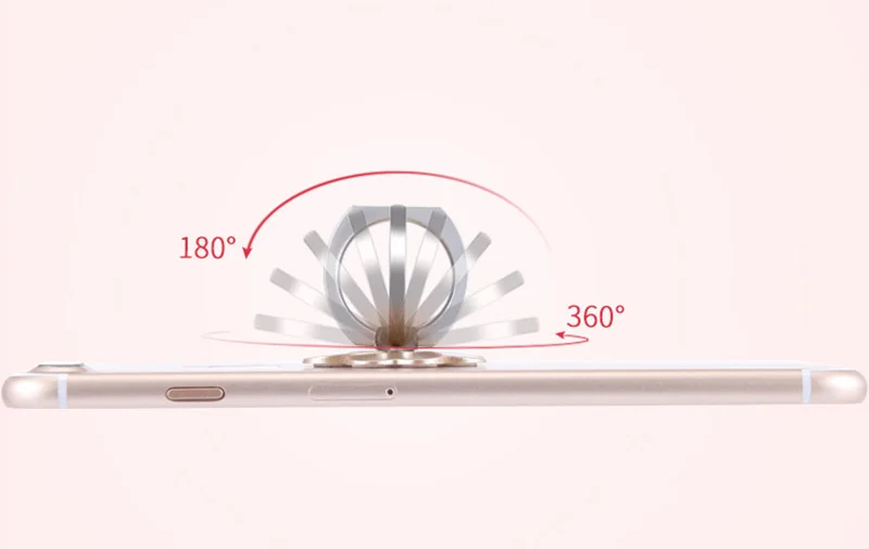 8772886398_1743343222