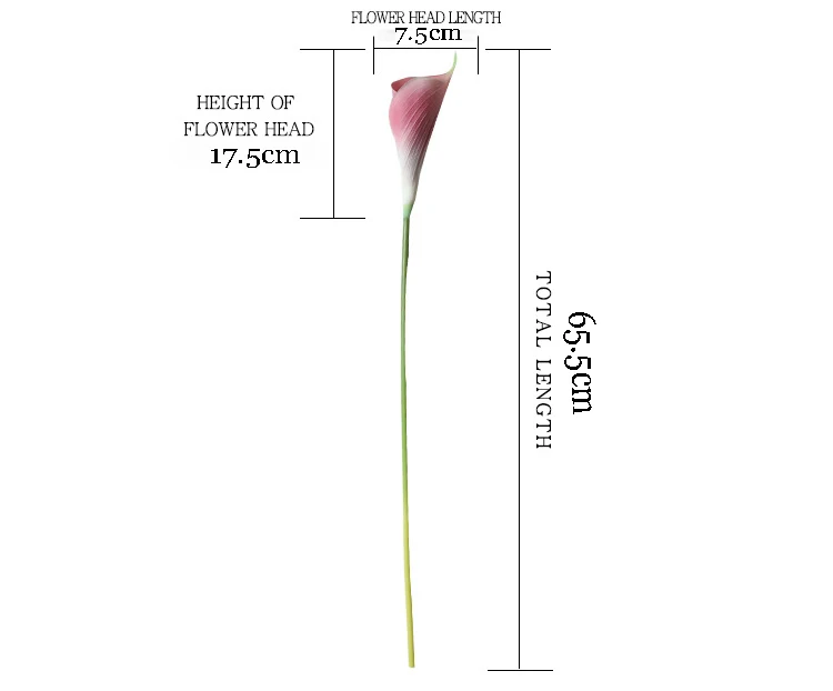 13905761972_1245478559