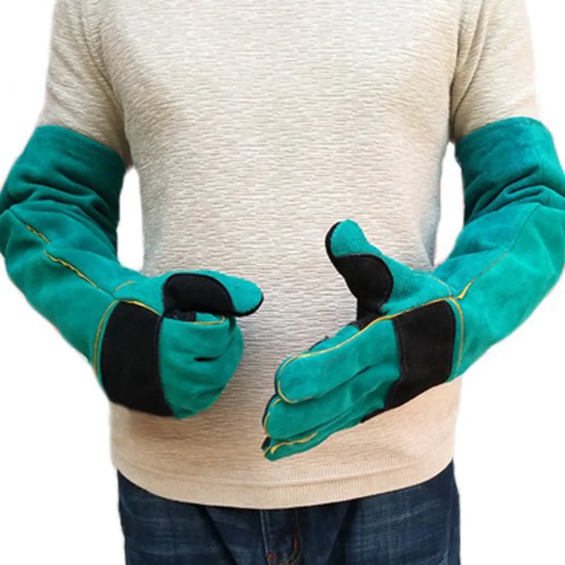 504