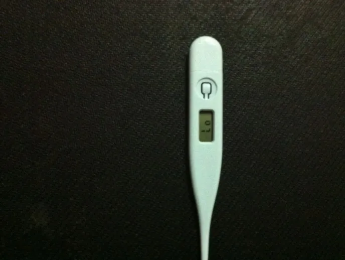 

1Pc Digital Thermometer for Pet Dogs Cat Pig Animals Electronic Thermometer Professional Medical Tools Veterinary Supplies