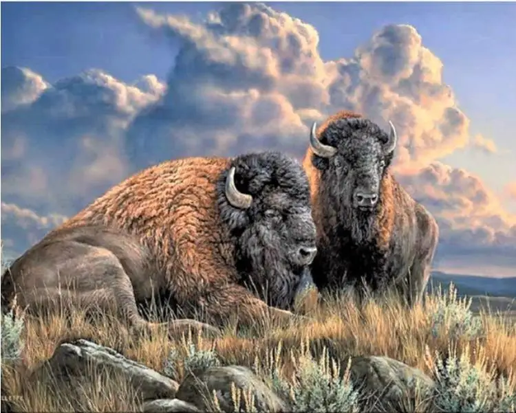 36020190325120118862