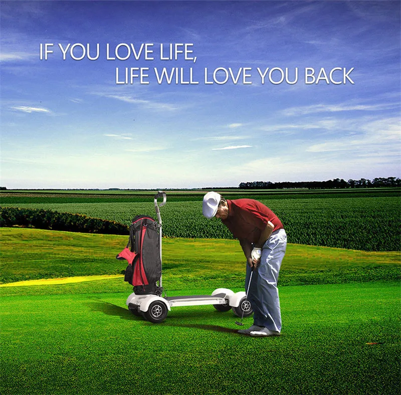 Daibot Adult Electric Scooter 4 Wheel Golf Cart Self Balancing Scooters 1000W 60V Golf Scooter Board Electric Skateboard Scooter (17)