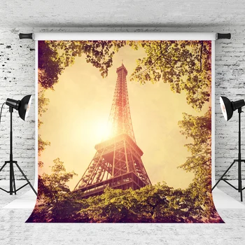 

VinylBDS Backgrounds For Photo Studio Dream Eiffel Tower For Wedding Background Backdrop Wedding Backdrop