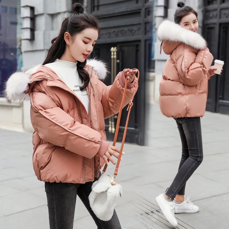 

2018 Winter Fashion Comfortable Simple Cool Solid Color Short Long Sleeve Zipper Cotton-padded Clothes
