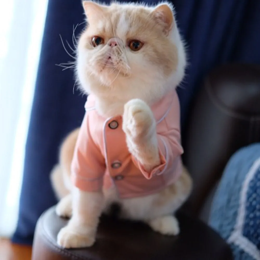 одежда для собак Кошка собачья собаки комбинезон модная Пижама чихуахуа Ropa Perro