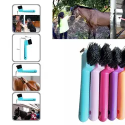 Easy to Hold Premium Horse Care Cleaning Brush Eco-friendly Horseshoe Brush Fine Workmanship for Personal Use