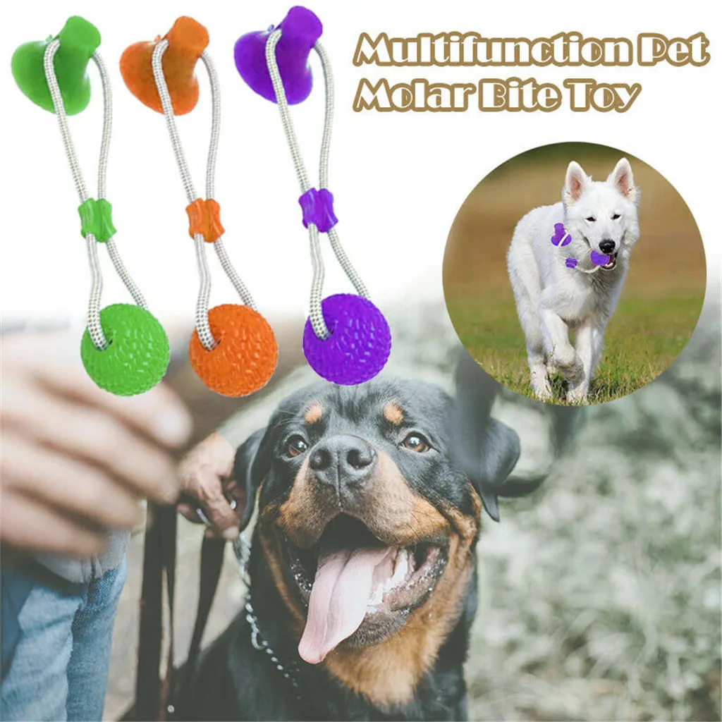 

Multifunction Pet Molar Toy Cleaning Teeth Safe Elasticity for Dog Puppy