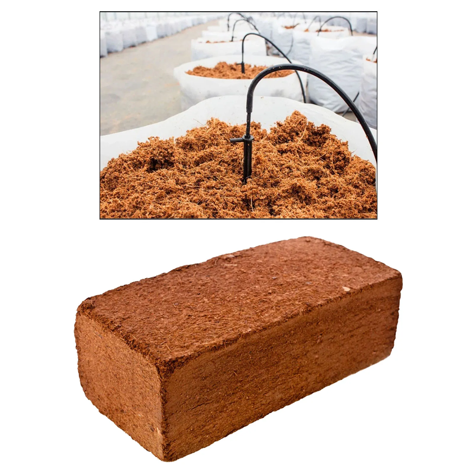 650g9LPlantingCocoNutrientSoilSubstrateCoconutCoirBricksCoir
