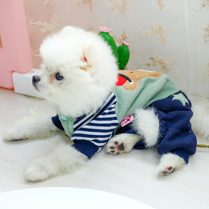 大王星星熊_8158