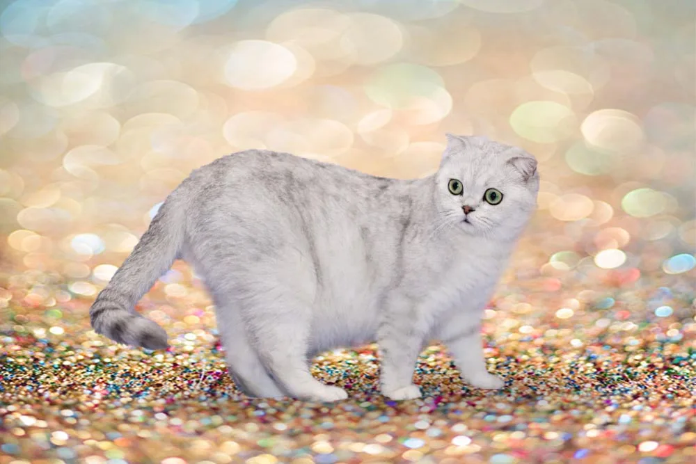 Mehofond Photography Background Shiny Polka Dot Light Bokeh Wedding Birthday Party Child Love Photocall Backdrop Photo Studio