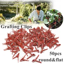 50PCS Flat and Round Grafting Clips Supports Patio & Garden Durable Tomato Vegetable Plant Support Reusable Tools Agriculture