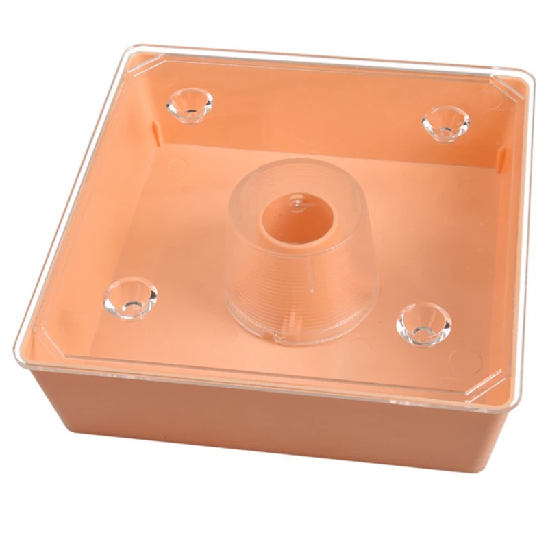 

Bee Feeder Square Bee Water Feeder Beekeeping Tools for Apiary