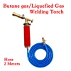 Liquefied Propane Gas/Butane Gas Welding Gun Torch Machine Equipment with 2/2.5M Hose for Soldering Weld Cooking Heating ► Photo 2/6