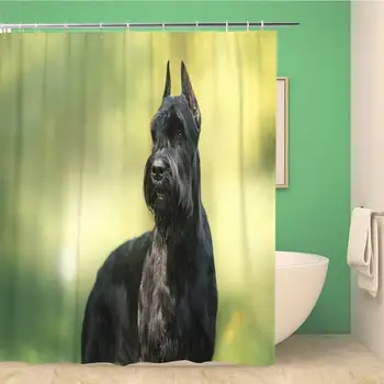 

Bathroom Shower Curtain Green Dog Giant Schnauzer Pet Walking in Summer Park Polyester Fabric 72x72 inches Waterproof Bath
