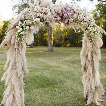 

80/120cm Dried Flower Wedding Flower Large Pampas Grass Natural Reed Pampas Grass Decor Party Decoration DIY Elf Christmas Decor
