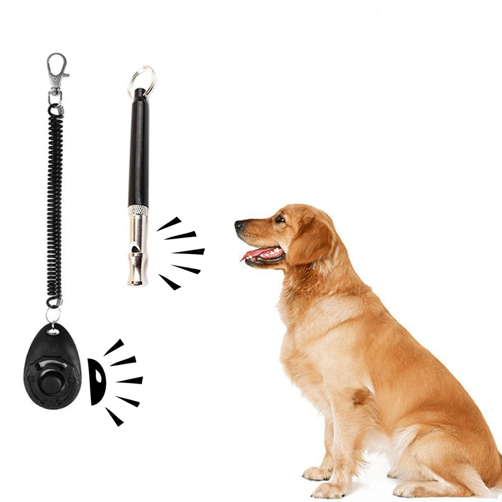 Can You Train A Cat With A Dog Whistle