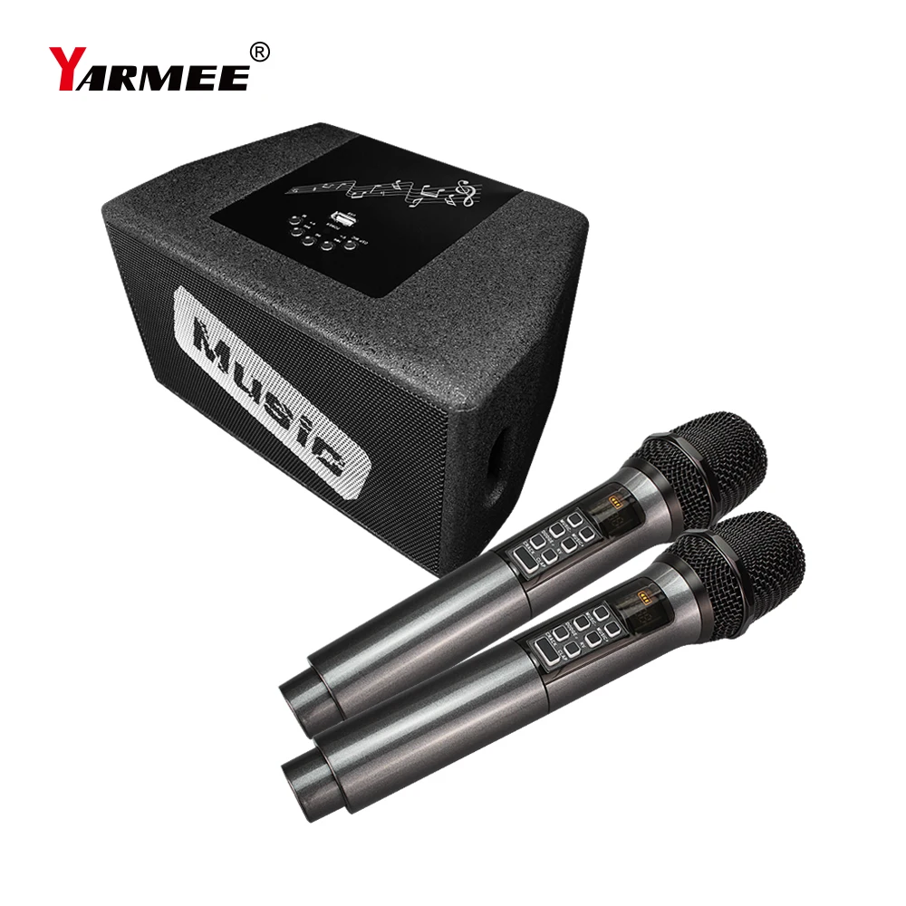 YARMEE Professional Indoor Outdoor Karaoke Home