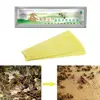 20Pcs/Pack 20 Fluvalinate Strips Anti Insect Pest Controller Instant Mite Killer Miticide Bee Medicine Mite Strip Home tool Farm ► Photo 1/6